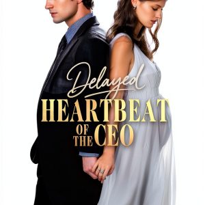 CEO Romance Series Kindle Book English Edition-0